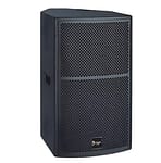 Thunder-Sound-TS1-12-Two-way-full-range-loudspeaker-system-1-scaled