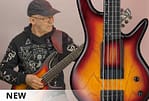 Ibanez-4-Strings-Guitar-2