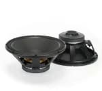 Rcf-lf18G400-speaker