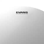 Evans 10 Drumhead