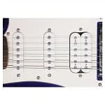 Guitar pick up