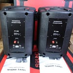 Soundking FP208 Professional Speaker