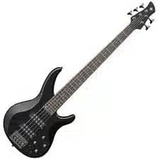 5 Strings Bass Guitar