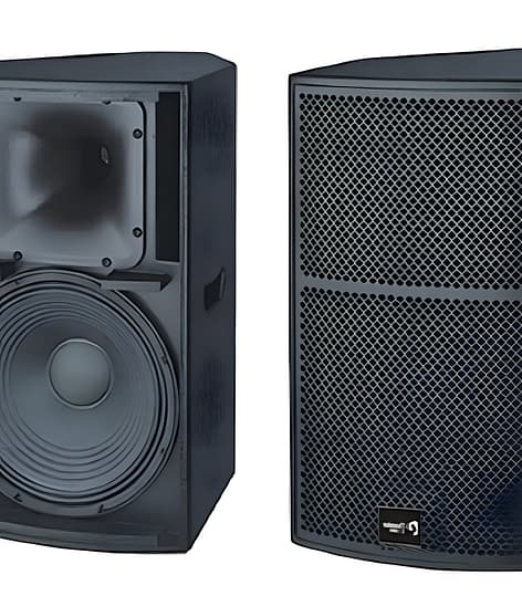 Thunder Sound TS1 12 Loudspeaker System