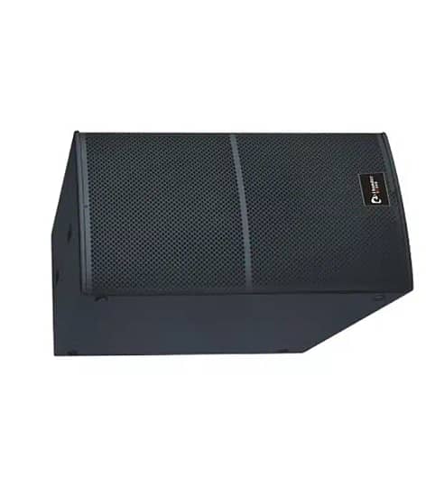 Thunder Sound TS228 Subwoofer