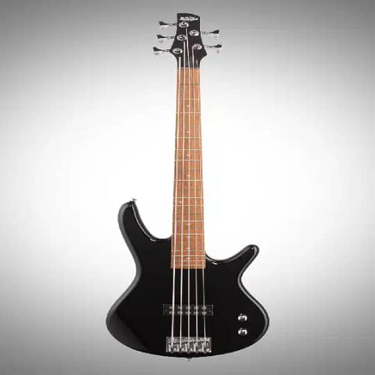 Ibanez SDGR 5 String Bass Guitar
