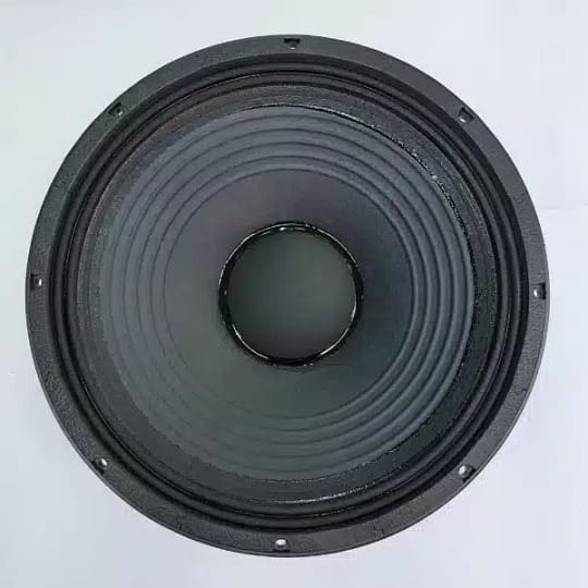 NAKED SPEAKERS