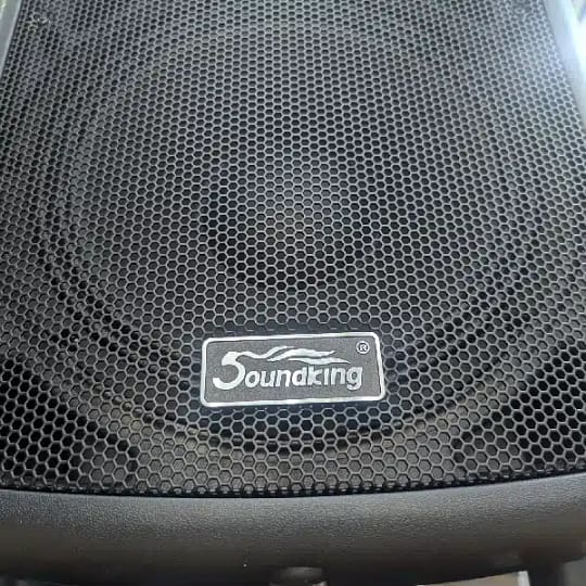 Soundking FP215A live sound speaker