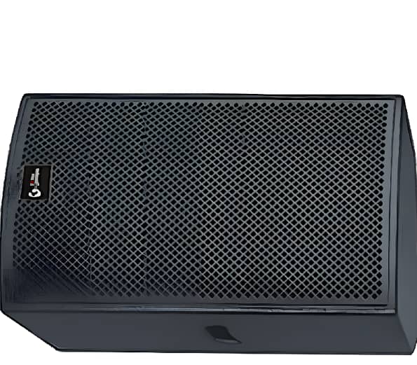 Thunder Sound TS115 Speaker